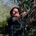 Woman smiling while harvesting olives from an olive tree in a natural setting. - Olive Oil Times