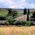 A stone building with a tiled roof, surrounded by trees and tall grass in a rural landscape. - Olive Oil Times