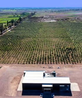Aerial view of an olive grove with a processing facility in the foreground. - Olive Oil Times
