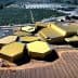 Aerial view of a modern olive oil processing facility with a hexagonal design and yellow roofs. - Olive Oil Times