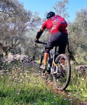 A mountain biker in a red shirt and backpack riding on a trail surrounded by olive trees and wildflowers. - Olive Oil Times