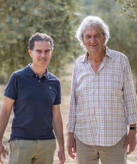 Two men standing in an olive grove, both smiling and dressed casually in light clothing. - Olive Oil Times