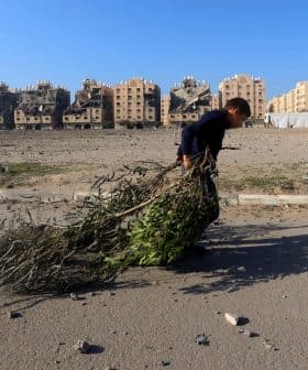 A child walking while carrying a bundle of branches in an urban setting with damaged buildings in the background. - Olive Oil Times