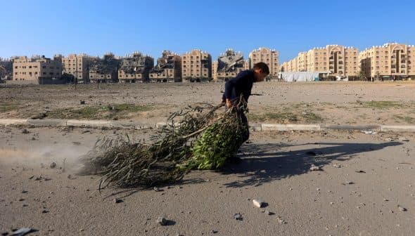 A child walking while carrying a bundle of branches in an urban setting with damaged buildings in the background. - Olive Oil Times