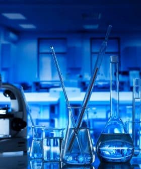 Microscope and various glassware including beakers and test tubes in a laboratory setting. - Olive Oil Times