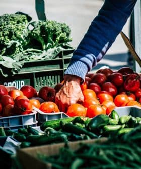 A hand reaching for ripe red tomatoes at a market stall filled with fresh vegetables. - Olive Oil Times