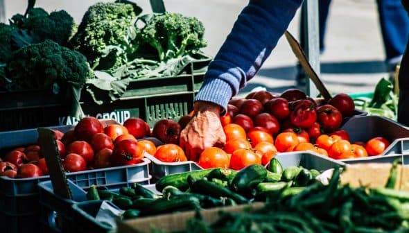 A hand reaching for ripe red tomatoes at a market stall filled with fresh vegetables. - Olive Oil Times