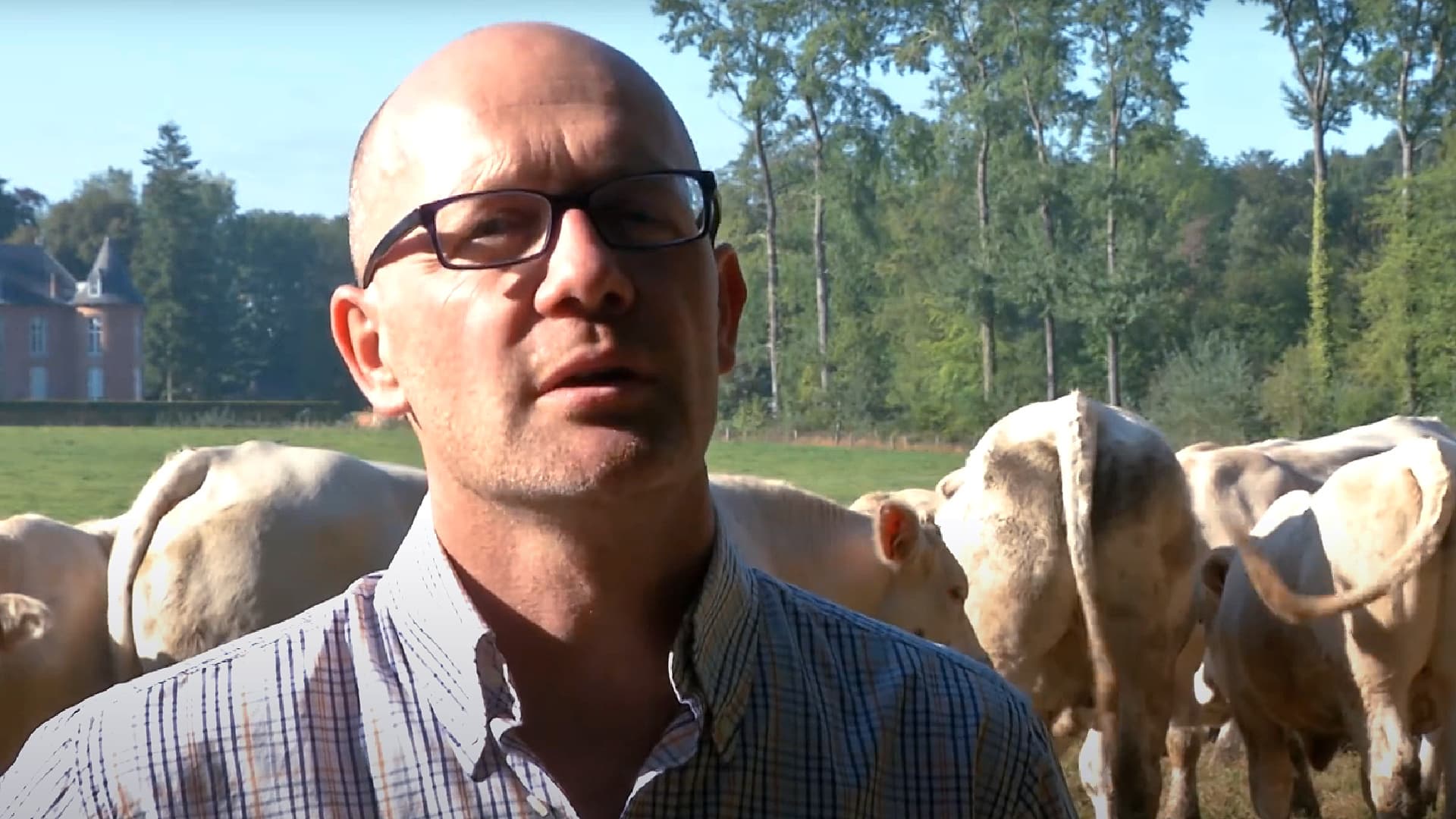 A man wearing glasses and a checked shirt standing in front of a herd of cattle in a field. - Olive Oil Times