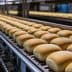 Freshly baked bread rolls arranged on a conveyor belt in a production facility. - Olive Oil Times