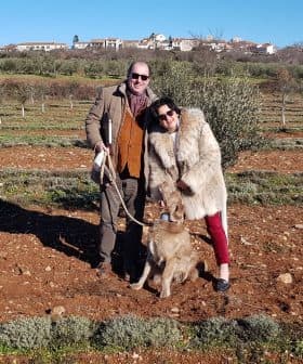A couple standing in an olive grove with a dog, smiling at the camera. - Olive Oil Times