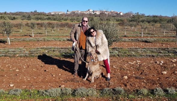 A couple standing in an olive grove with a dog, smiling at the camera. - Olive Oil Times