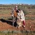 A couple standing in an olive grove with a dog, smiling at the camera. - Olive Oil Times