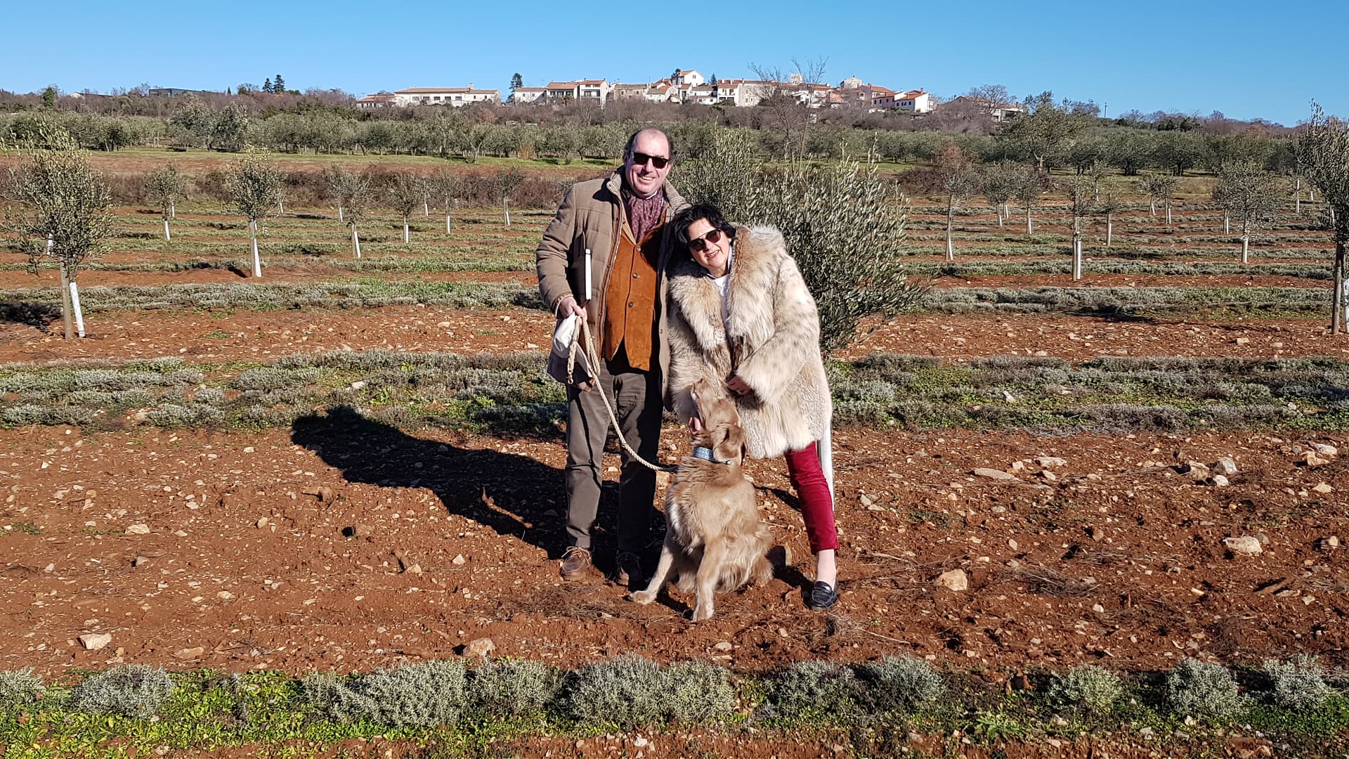 A couple standing in an olive grove with a dog, smiling at the camera. - Olive Oil Times