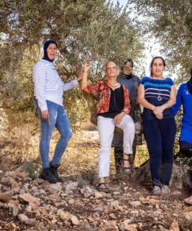 Group of six women standing and sitting in an olive grove, wearing casual clothing. - Olive Oil Times