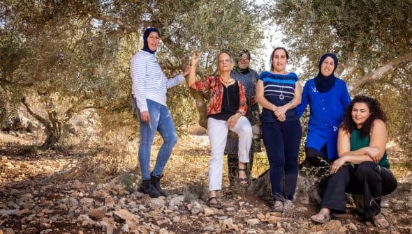 Group of six women standing and sitting in an olive grove, wearing casual clothing. - Olive Oil Times