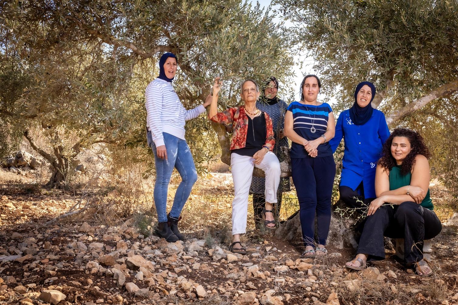 Group of six women standing and sitting in an olive grove, wearing casual clothing. - Olive Oil Times