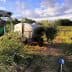 A worker near an irrigation tank in an olive grove with rows of olive trees. - Olive Oil Times