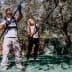 Two individuals using long poles to harvest olives from trees in an olive grove. - Olive Oil Times