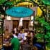 Entrance sign of Peskesi restaurant with greenery and patrons dining inside. - Olive Oil Times
