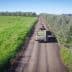 Tractor pulling a trailer loaded with green produce on a dirt road through an olive grove. - Olive Oil Times