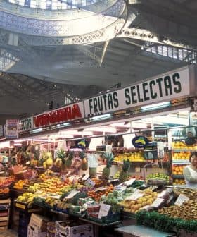 Market stall displaying a variety of fruits and vegetables under a large ceiling structure. - Olive Oil Times