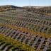 Aerial view of solar panels arranged in rows on a hillside with wind turbines in the background. - Olive Oil Times