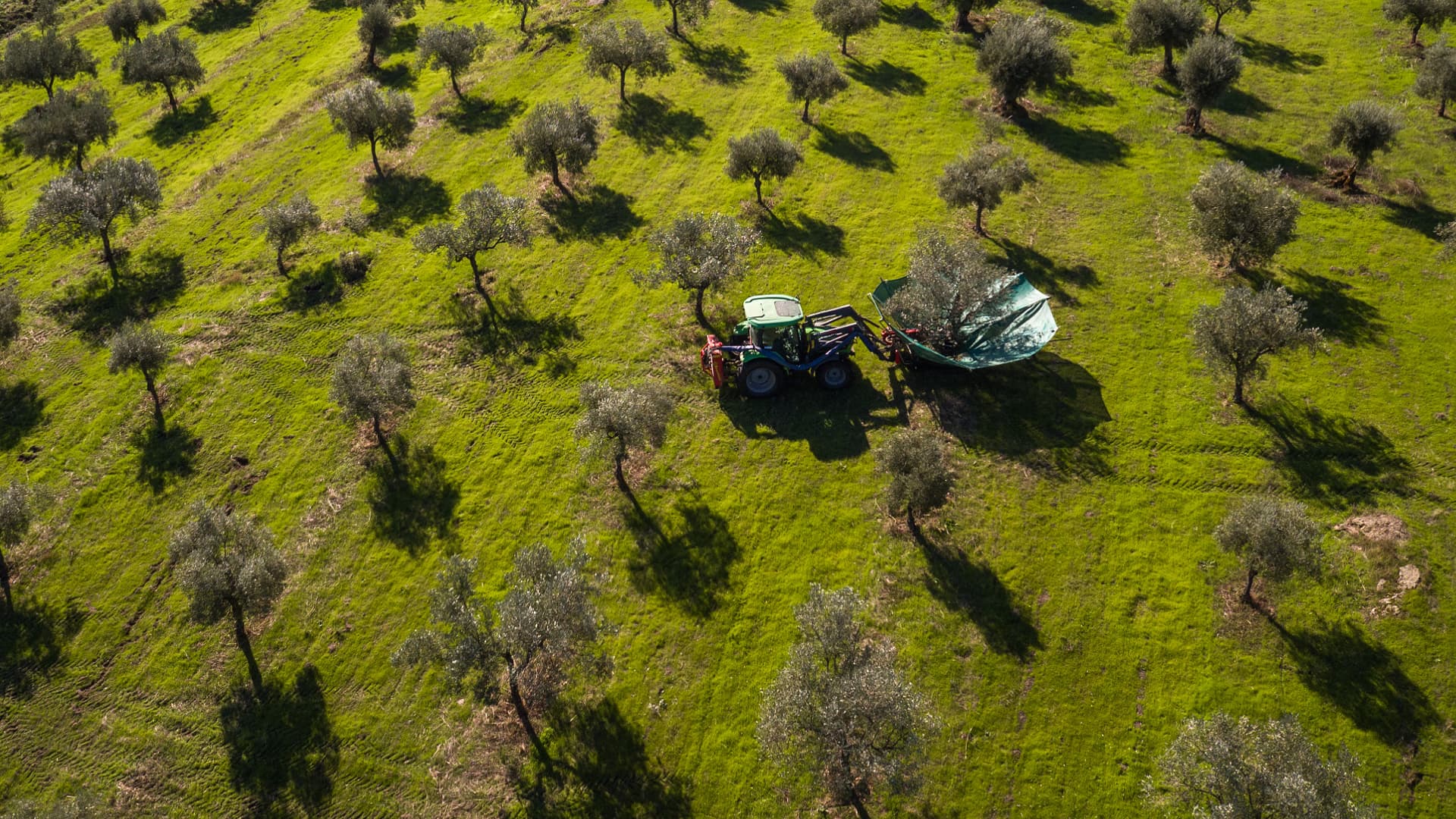 Portuguese Producers Highlight Quality as the Cornerstone of ...