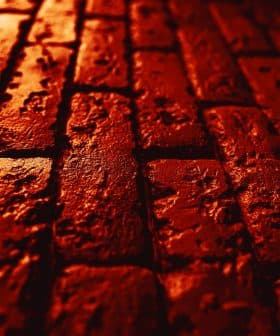 Close-up view of a textured red brick surface with visible imperfections and patterns. - Olive Oil Times