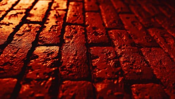 Close-up view of a textured red brick surface with visible imperfections and patterns. - Olive Oil Times