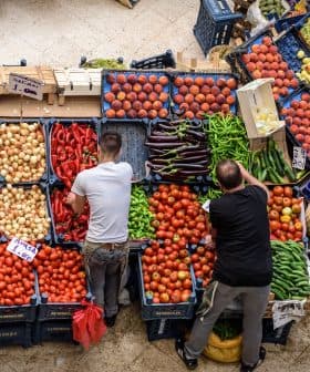 Two individuals arranging fresh vegetables and fruits at a market stall with various produce. - Olive Oil Times