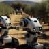 Two small robotic harvesters with cameras and tracks in an olive grove. - Olive Oil Times