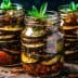 Three jars filled with layers of pickled eggplant slices and herbs in a clear brine. - Olive Oil Times