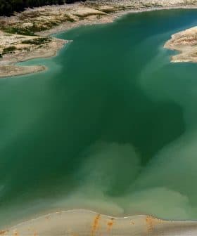 Aerial view of a calm water body with varying shades of green and blue. - Olive Oil Times
