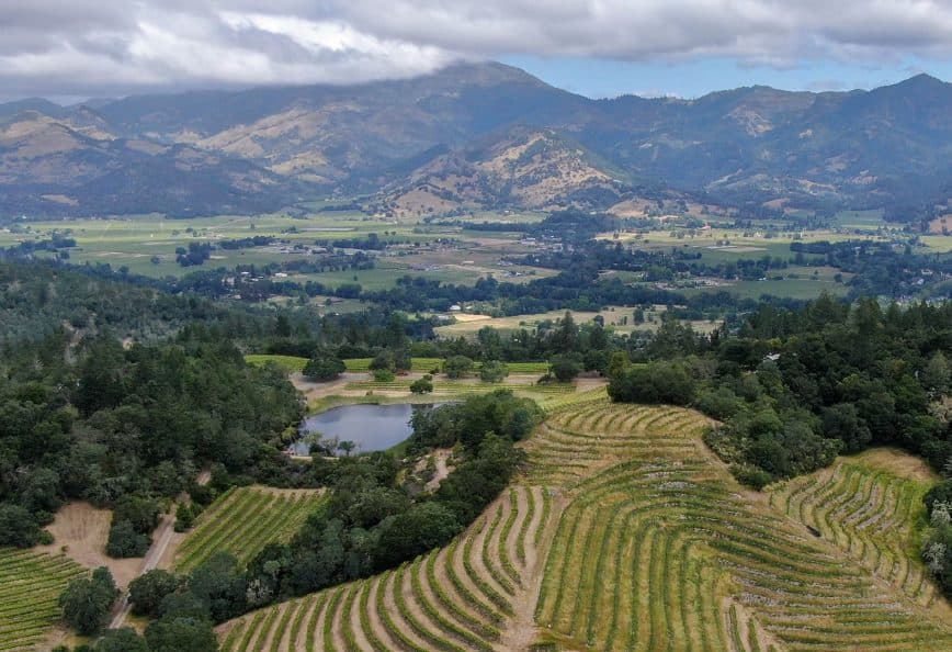 Aerial view of vineyards with rows of grapevines and mountains in the background. - Olive Oil Times