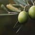Two green olives hanging from a branch with olive leaves in a natural setting. - Olive Oil Times