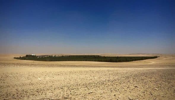A green area of trees surrounded by a barren desert landscape under a clear blue sky. - Olive Oil Times