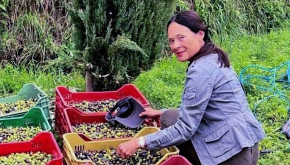 Woman sorting olives in red and yellow baskets in an outdoor setting. - Olive Oil Times