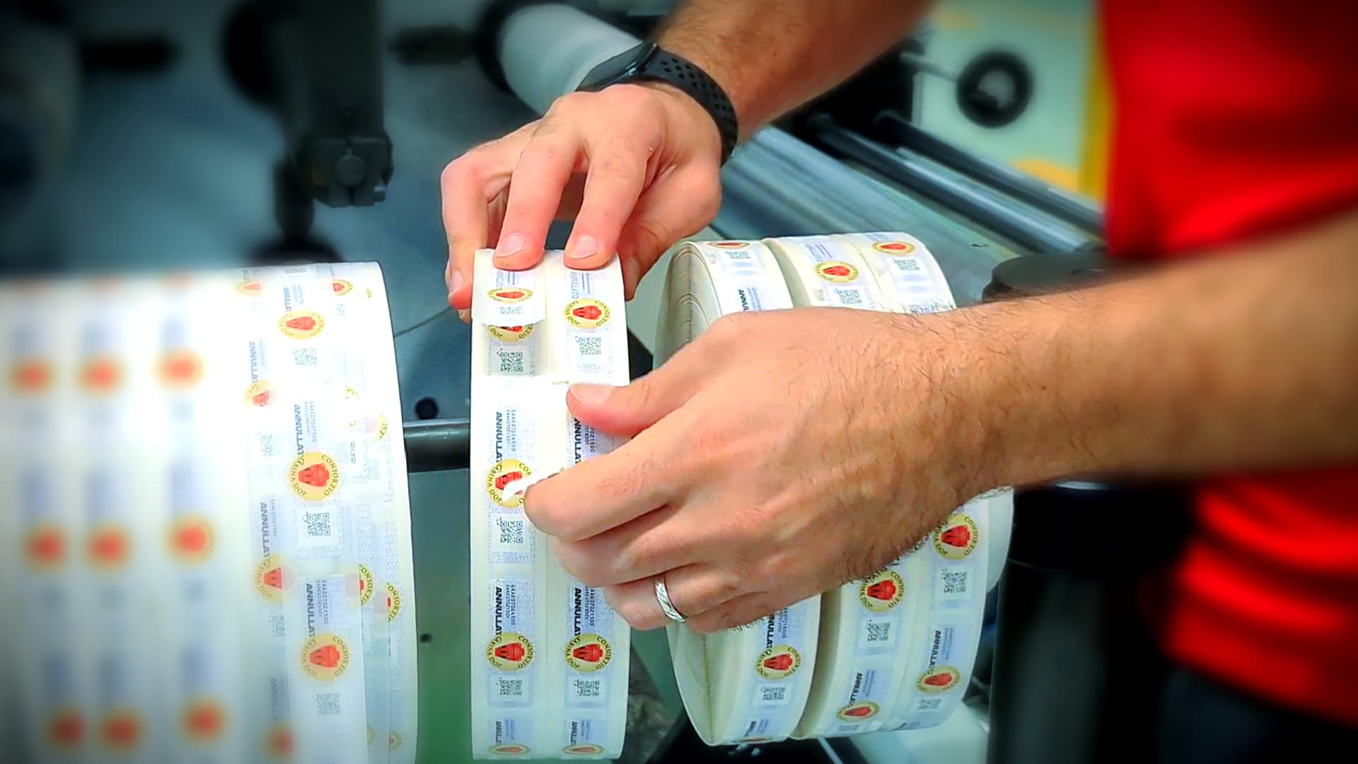 Individual placing labels on a roll of adhesive labels in a manufacturing setting. - Olive Oil Times