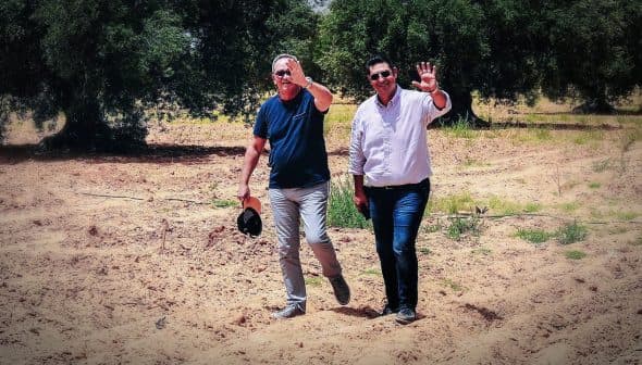 Two men walking through an olive grove, one waving and the other shielding his eyes from the sun. - Olive Oil Times