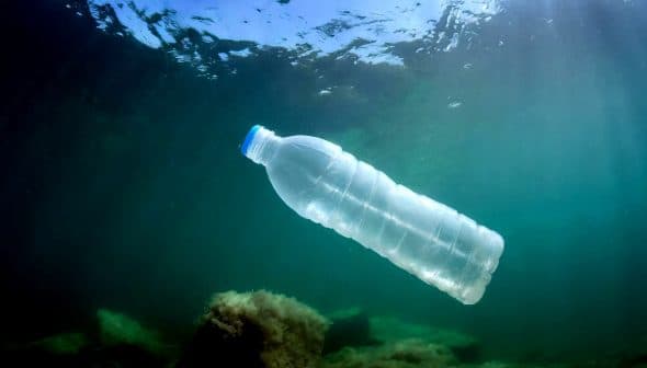 Clear plastic water bottle floating underwater with sunlight filtering through the surface. - Olive Oil Times