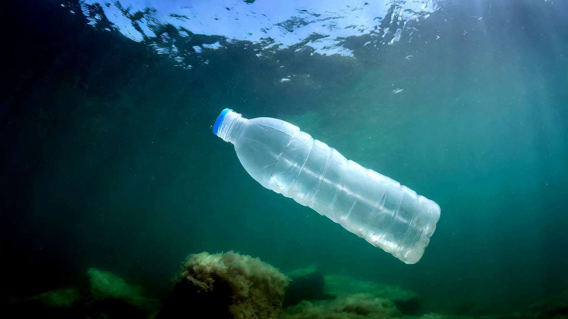 Clear plastic water bottle floating underwater with sunlight filtering through the surface. - Olive Oil Times