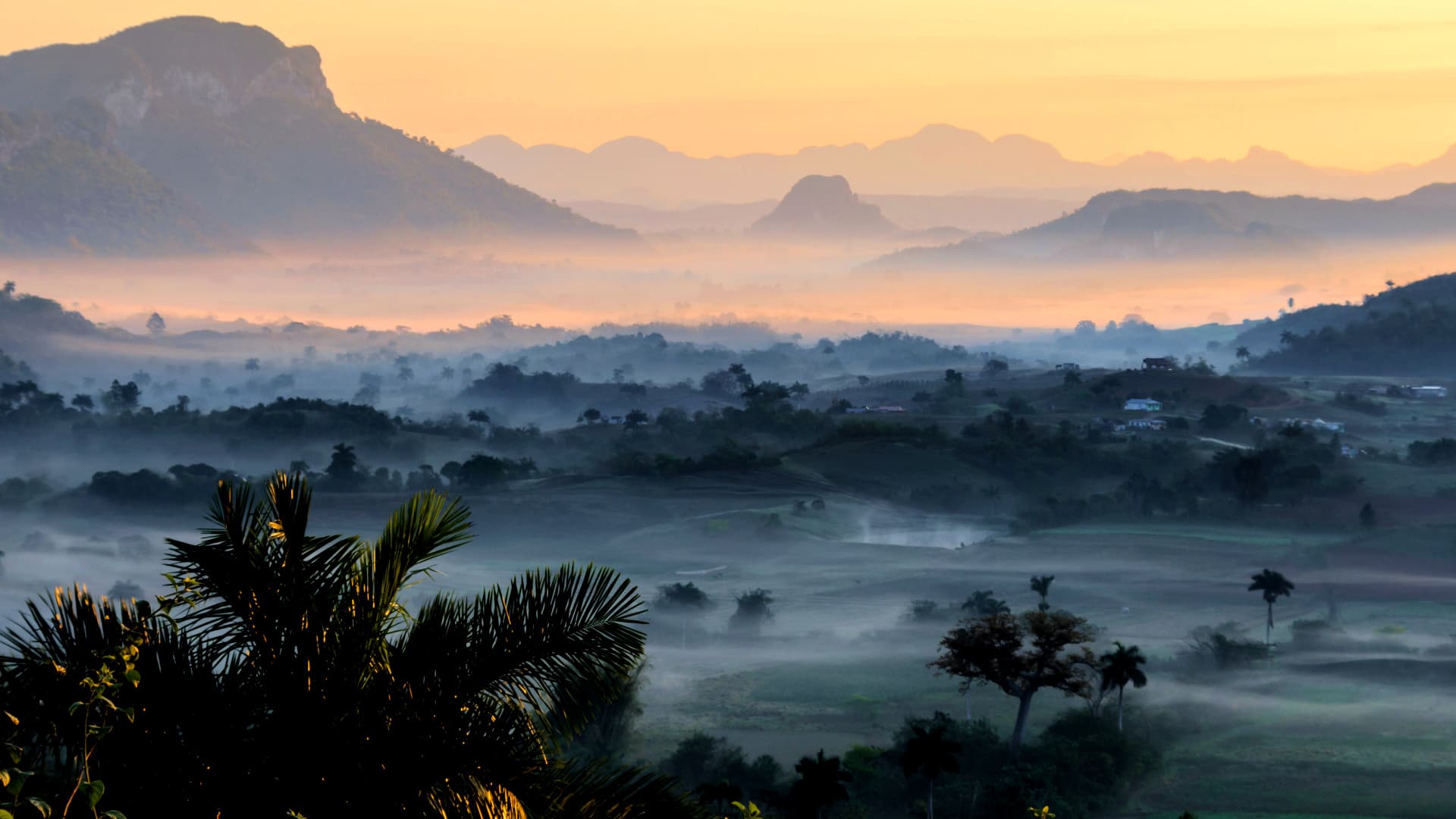 A misty landscape featuring mountains and valleys during sunrise with soft light and fog. - Olive Oil Times