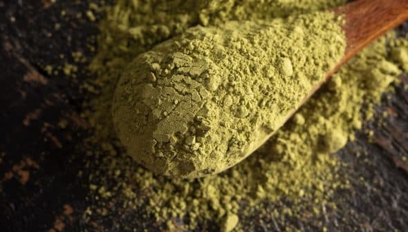Green powdered substance on a wooden spoon, with loose powder scattered around. - Olive Oil Times