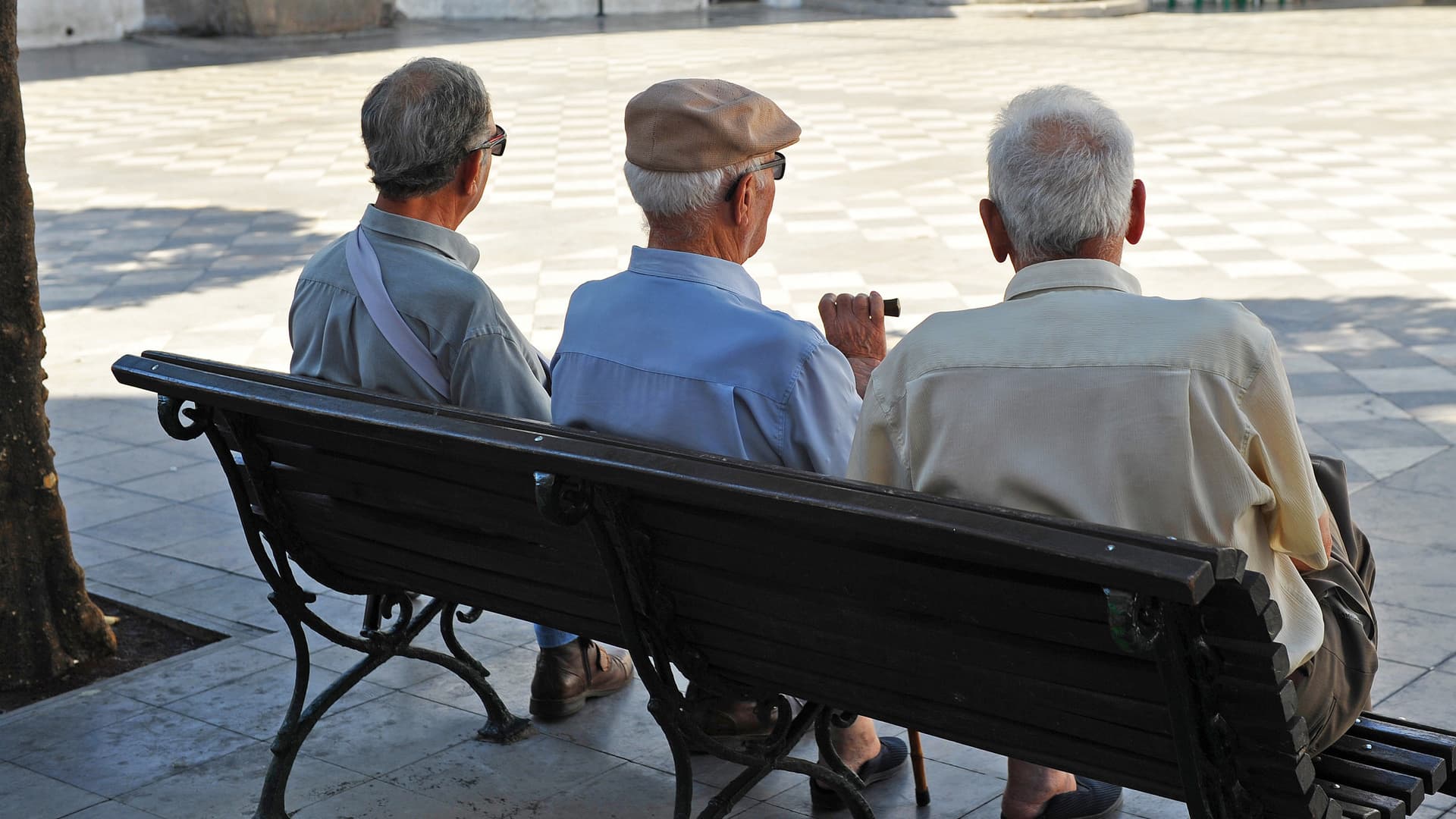 Three elderly men sitting on a park bench, viewed from behind, wearing hats and light-colored shirts. - Olive Oil Times