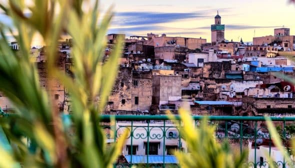 Panoramic view of the Fes Medina with a prominent minaret in the background. - Olive Oil Times