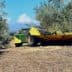 Olive harvesting machine with a yellow and green cover parked in an olive grove. - Olive Oil Times
