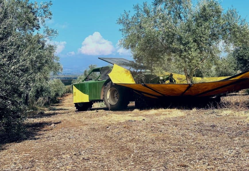Olive harvesting machine with a yellow and green cover parked in an olive grove. - Olive Oil Times