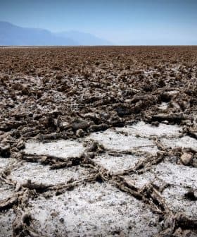 Dry, cracked salt flats with a barren landscape and distant mountains in the background. - Olive Oil Times