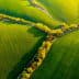 Aerial view of lush green fields intersected by a narrow tree-lined path. - Olive Oil Times