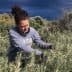 Woman in a gray sweatshirt tending to olive plants in a hilly area near the sea. - Olive Oil Times